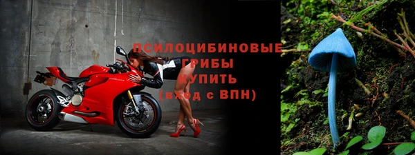 jwh Алзамай