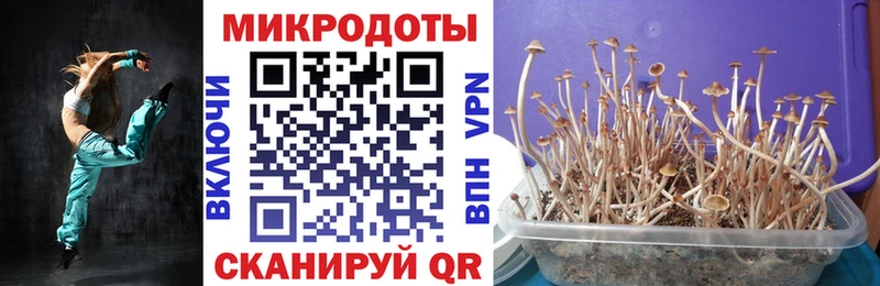 KRAKEN ТОР  Дюртюли  Псилоцибиновые грибы Psilocybe 