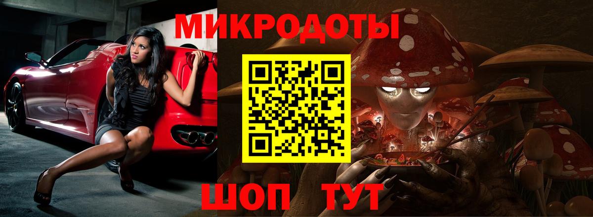 Галлюциногенные грибы Psilocybe Дюртюли